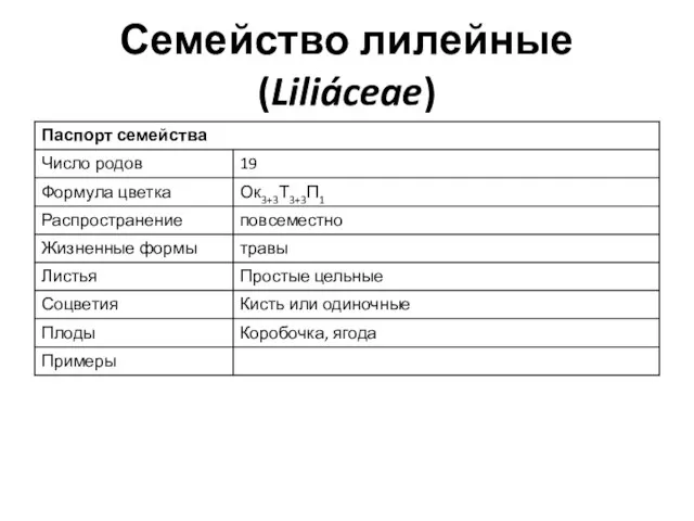 Семейство лилейные (Liliáceae)