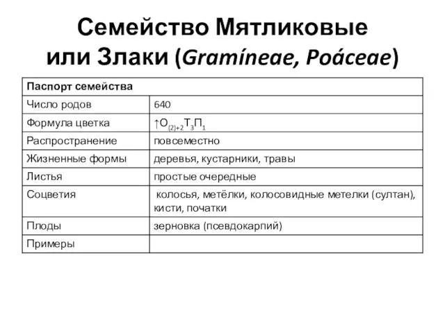 Семейство Мятликовые или Злаки (Gramíneae, Poáceae)