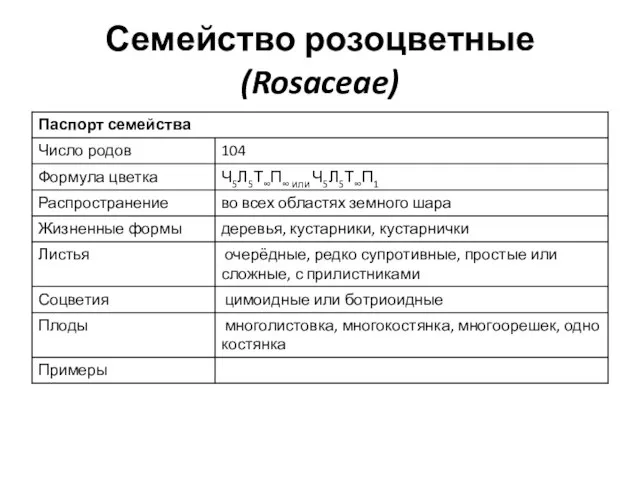 Семейство розоцветные (Rosaceae)