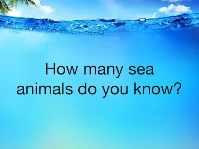 How many sea animals do you know?