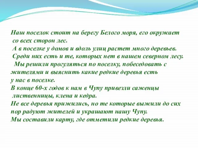 Наш поселок стоит на берегу Белого моря, его окружает со всех