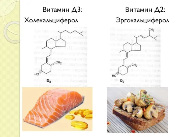 Витамин Д3: Витамин Д2: Холекальциферол Эргокальциферол