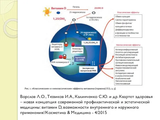 Ворслов Л.О., Тюзиков И.А., Калинченко С.Ю. и др. Квартет здоровья –