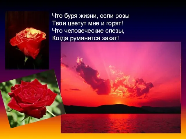 Что буря жизни, если розы Твои цветут мне и горят! Что человеческие слезы, Когда румянится закат!