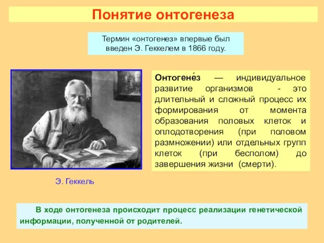 Понятие онтогенеза Онтогене́з — индивидуальное развитие организмов - это длительный и