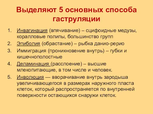 Выделяют 5 основных способа гаструляции Инвагинация (впячивание) – сцифоидные медузы, коралловые