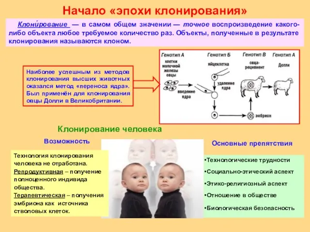 Начало «эпохи клонирования» Клони́рование — в самом общем значении — точное