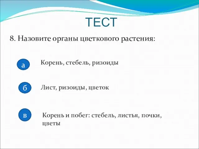 8. Назовите органы цветкового растения: Корень, стебель, ризоиды Лист, ризоиды, цветок