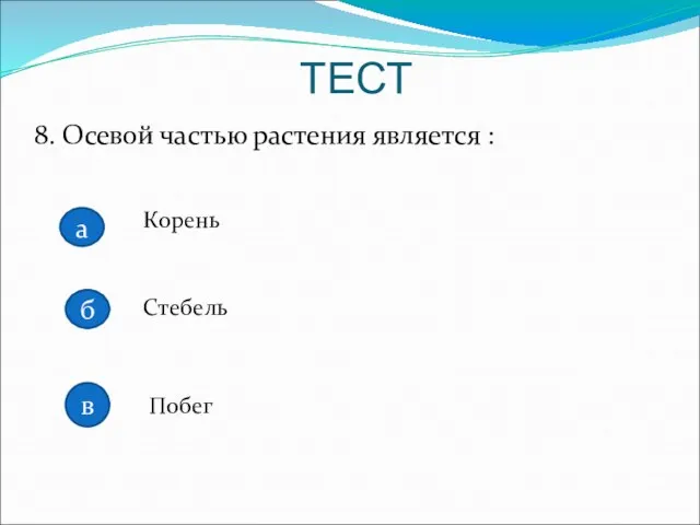 8. Осевой частью растения является : Корень Стебель Побег ТЕСТ а б в