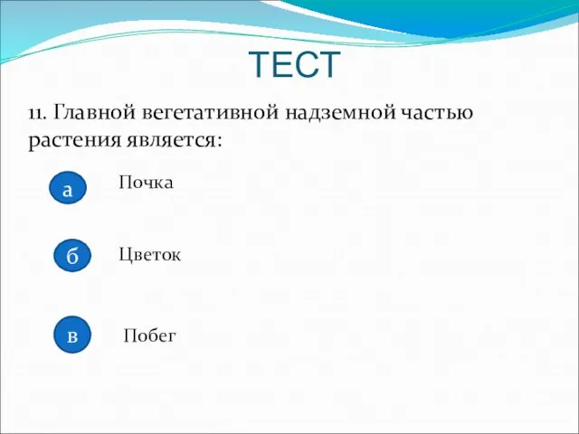 11. Главной вегетативной надземной частью растения является: Почка Цветок Побег ТЕСТ а б в