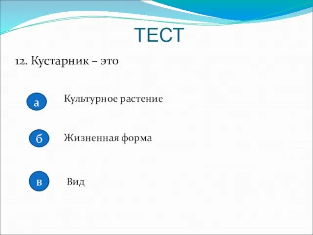 12. Кустарник – это Культурное растение Жизненная форма Вид ТЕСТ а б в