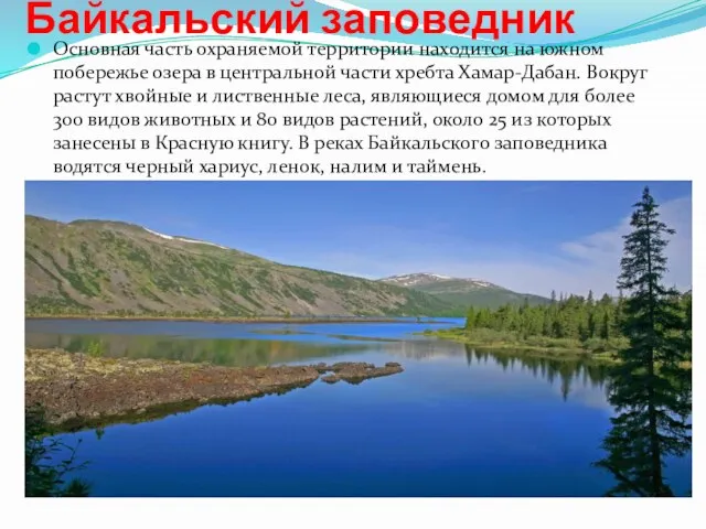 Байкальский заповедник Основная часть охраняемой территории находится на южном побережье озера