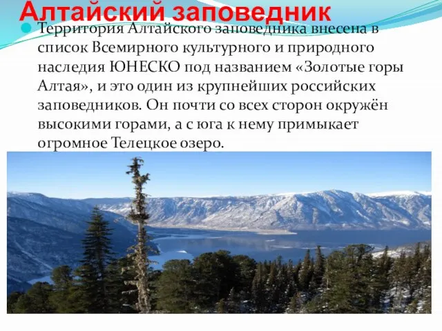 Алтайский заповедник Территория Алтайского заповедника внесена в список Всемирного культурного и