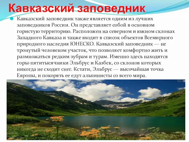 Кавказский заповедник Кавказский заповедник также является одним из лучших заповедников России.