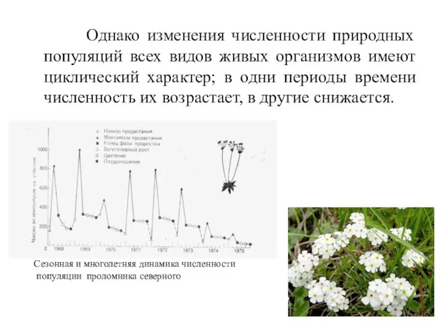 Однако изменения численности природных популяций всех видов живых организмов имеют циклический