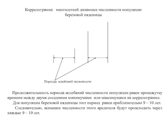 Коррелограмма многолетней динамики численности популяции березовой пяденицы Периоды колебаний численности Продолжительность