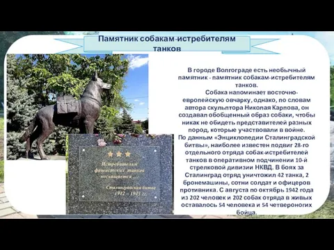 Памятник собакам-истребителям танков В городе Волгограде есть необычный памятник - памятник