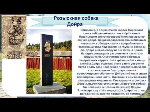 Розыскная собака Дойра В Карелии, в пограничном городе Сортавала стоит небольшой