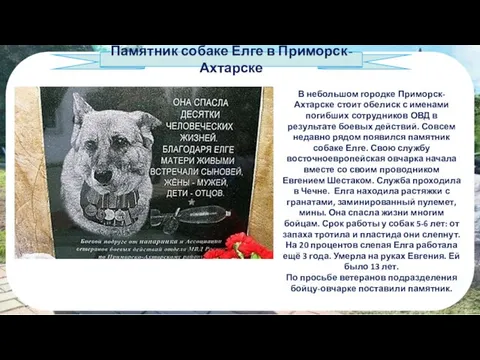 Памятник собаке Елге в Приморск-Ахтарске В небольшом городке Приморск-Ахтарске стоит обелиск