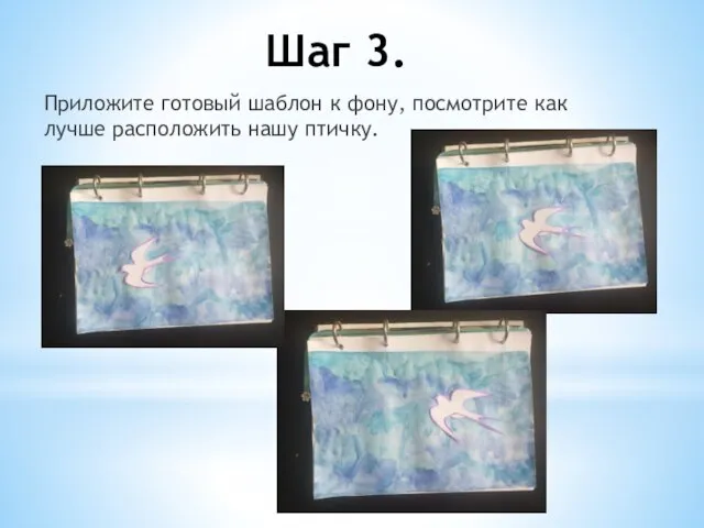 Шаг 3. Приложите готовый шаблон к фону, посмотрите как лучше расположить нашу птичку.