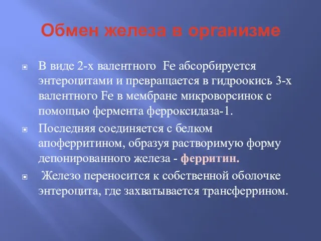 Обмен железа в организме В виде 2-х валентного Fe абсорбируется энтероцитами