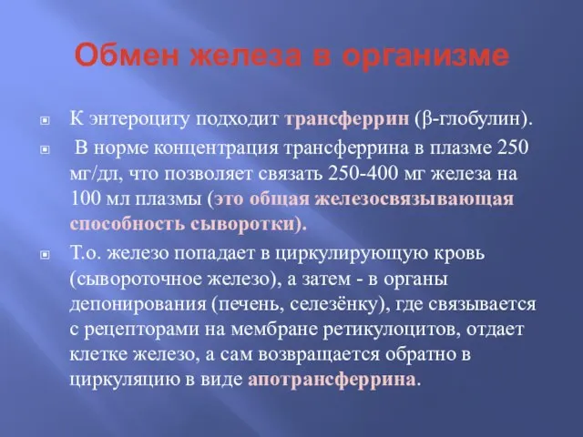 Обмен железа в организме К энтероциту подходит трансферрин (β-глобулин). В норме