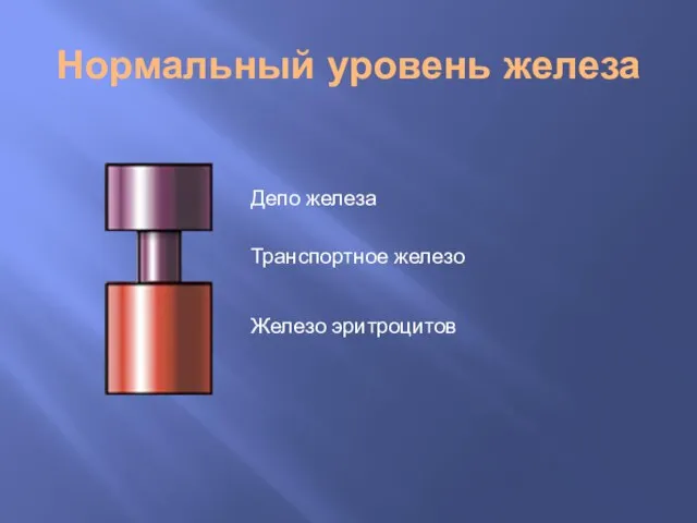 Нормальный уровень железа Транспортное железо Депо железа Железо эритроцитов