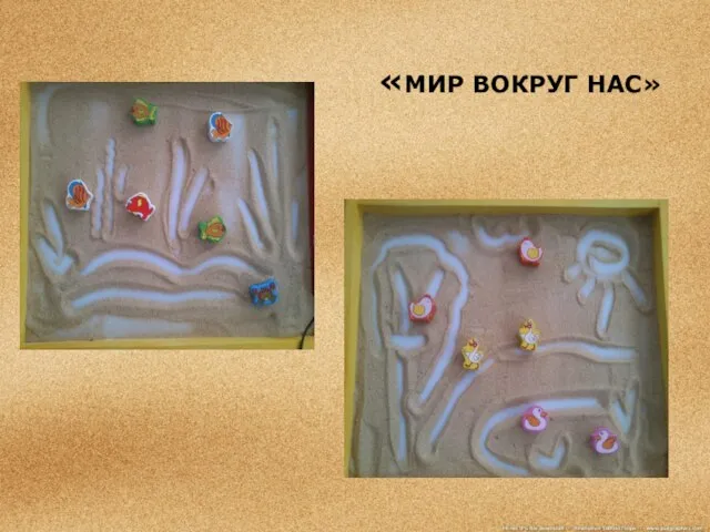 «МИР ВОКРУГ НАС»