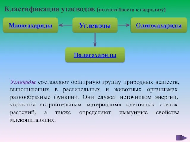 Классификация углеводов (по способности к гидролизу) Моносахариды Полисахариды Олигосахариды Углеводы Углеводы