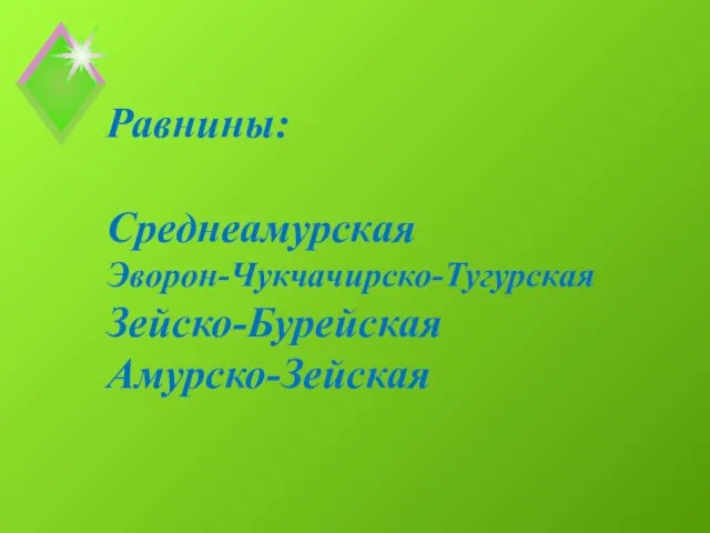 Равнины: Среднеамурская Эворон-Чукчачирско-Тугурская Зейско-Бурейская Амурско-Зейская