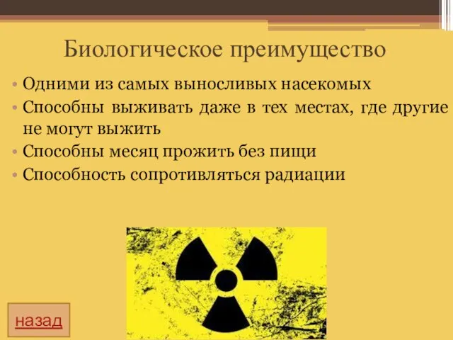 Биологическое преимущество Одними из самых выносливых насекомых Способны выживать даже в