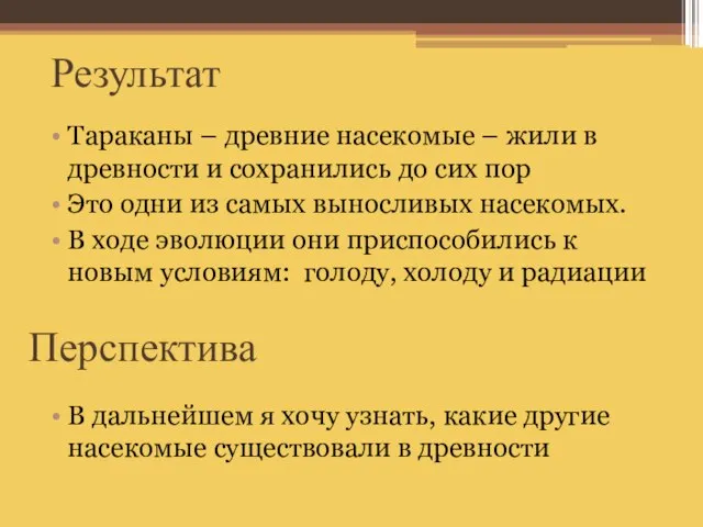 Перспектива Тараканы – древние насекомые – жили в древности и сохранились