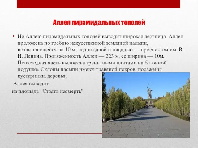 Аллея пирамидальных тополей На Аллею пирамидальных тополей выводит широкая лестница. Аллея