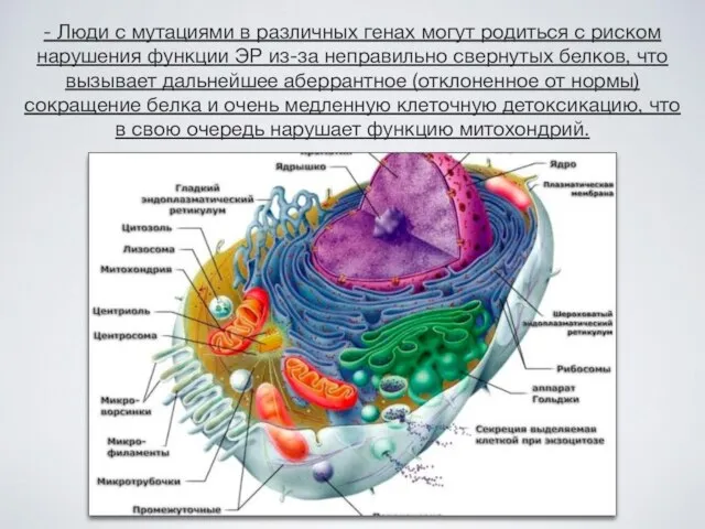 - Люди с мутациями в различных генах могут родиться с риском