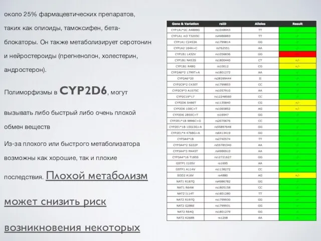 CYP2D6 отвечает за метаболизм лекарств, таких как антиаритмические средства, антагонисты адренорецепторов