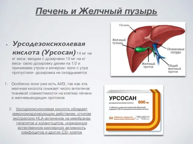 Печень и Желчный пузырь Урсодезоксихолевая кислота (Урсосан) 14 мг на кг