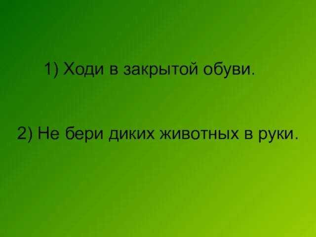 1) Ходи в закрытой обуви. 2) Не бери диких животных в руки.