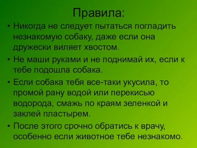 Правила: Никогда не следует пытаться погладить незнакомую собаку, даже если она