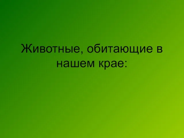 Животные, обитающие в нашем крае: