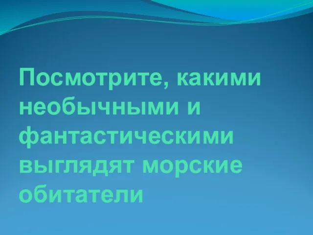 Посмотрите, какими необычными и фантастическими выглядят морские обитатели