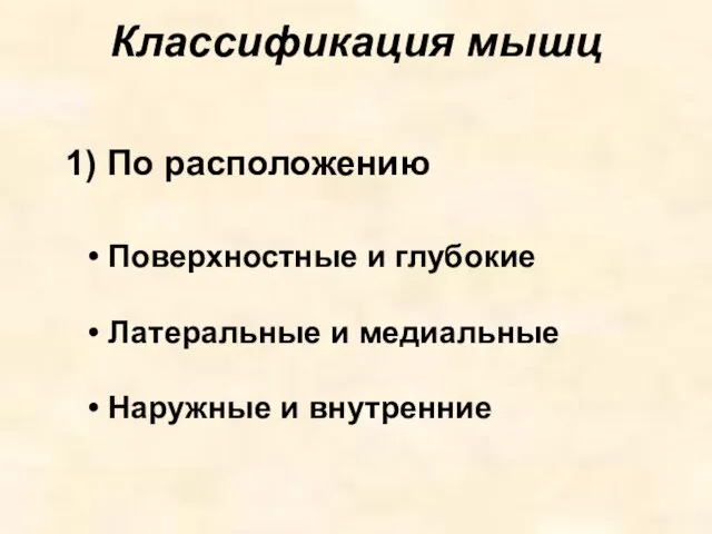 Классификация мышц 1) По расположению Поверхностные и глубокие Латеральные и медиальные Наружные и внутренние