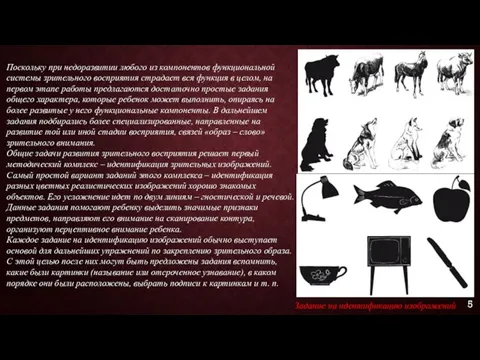 Поскольку при недоразвитии любого из компонентов функциональной системы зрительного восприятия страдает