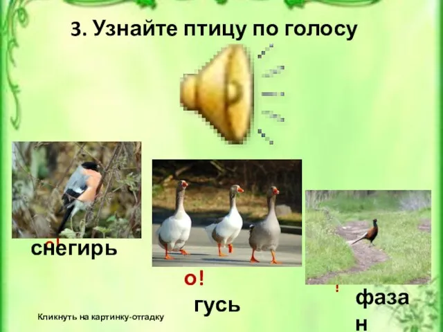 3. Узнайте птицу по голосу Кликнуть на картинку-отгадку Неверно! Верно! гусь Неверно! снегирь фазан