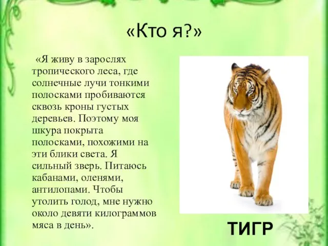 «Кто я?» «Я живу в зарослях тропического леса, где солнечные лучи