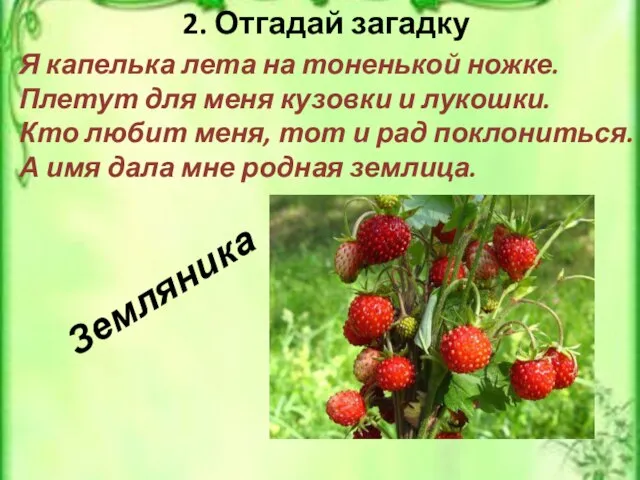 Земляника 2. Отгадай загадку Я капелька лета на тоненькой ножке. Плетут