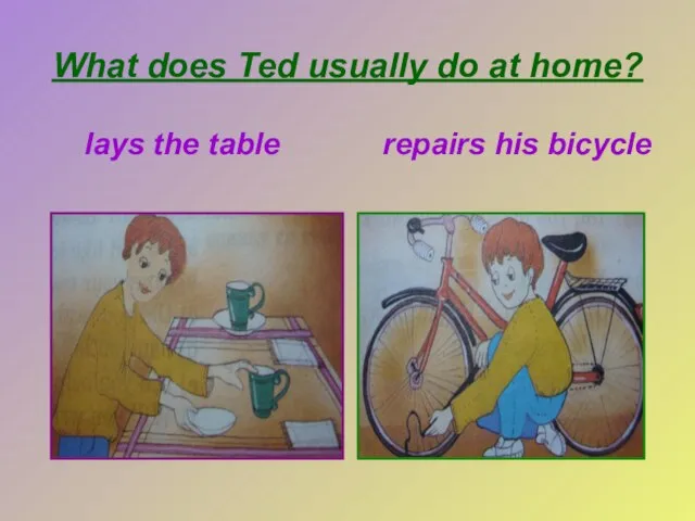 What does Ted usually do at home? lays the table repairs his bicycle