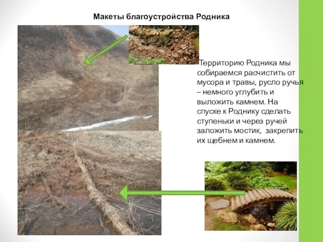 Территорию Родника мы собираемся расчистить от мусора и травы, русло ручья