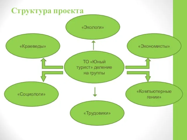 Структура проекта ТО «Юный турист» деление на группы «Краеведы» «Экологи» «Экономисты» «Социологи» «Компьютерные гении» «Трудовики»