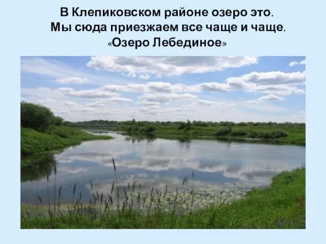 В Клепиковском районе озеро это. Мы сюда приезжаем все чаще и чаще. «Озеро Лебединое»