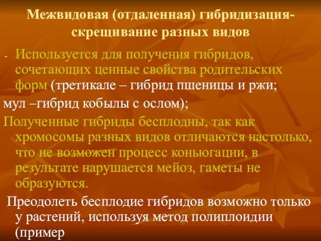 Межвидовая (отдаленная) гибридизация-скрещивание разных видов Используется для получения гибридов, сочетающих ценные